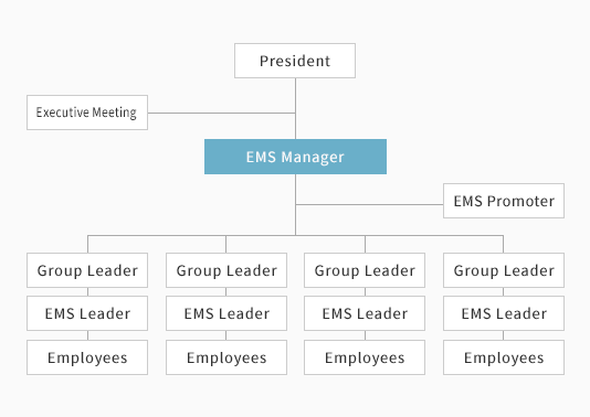 Environmental Management Structure