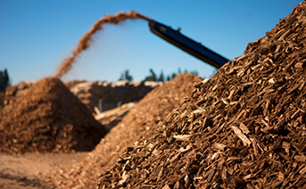 グリーンケミカルビジネスユニット